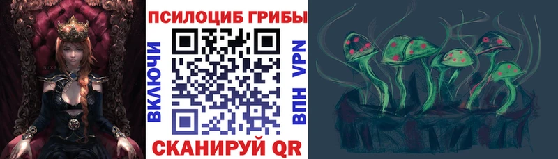 Галлюциногенные грибы прущие грибы  закладки  Горно-Алтайск 