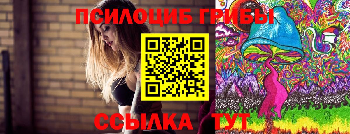 как найти   Галлюциногенные грибы Magic Shrooms  Вход с VPN  Горно-Алтайск  Галлюциногенные грибы Psilocybe 