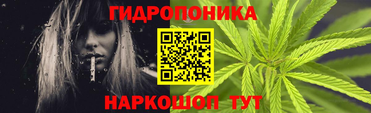 Бошки Шишки марихуана Горно-Алтайск